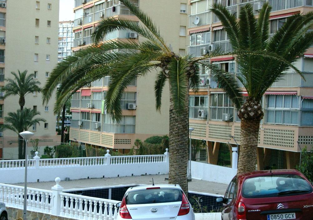 Appartement Don Miguel 1 - Arca Rent *